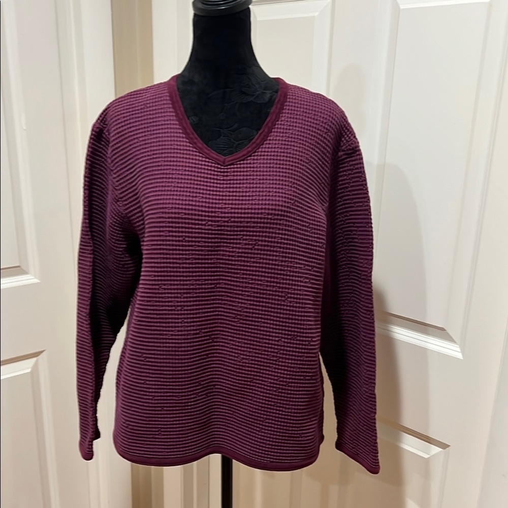 Focus, woman’s, long sleeve, v-neck, maroon/purple top. Size medium.